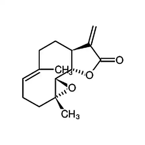 小白菊内酯