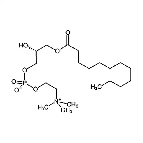 L-A-溶血磷酰脂胆碱