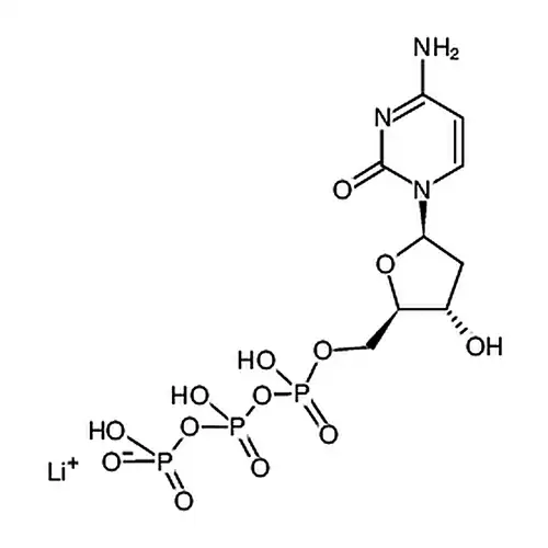 Deoxycytidine triphosphate
