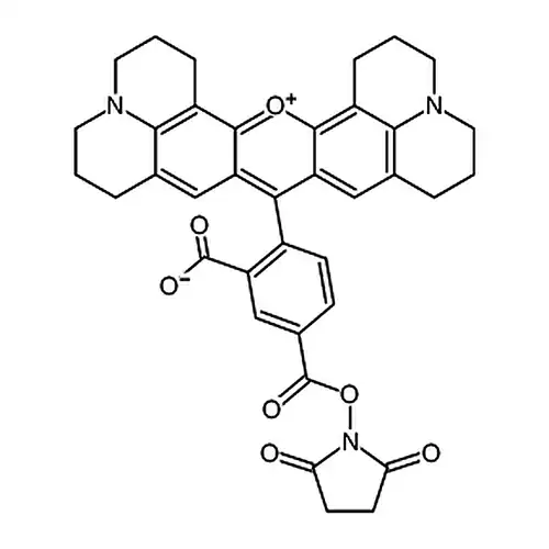 5-羧基-X-罗丹明琥珀酰亚胺酯