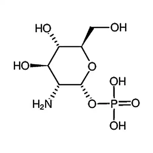 α-D-葡萄糖胺 1-磷酸