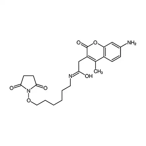 AMCA-X 琥珀酰亚胺酯