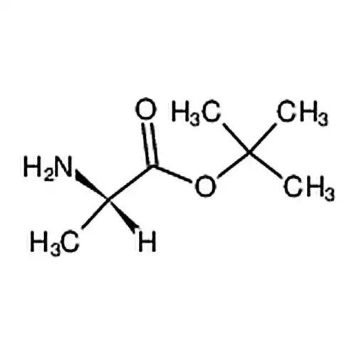 L-丙氨酸叔丁酯