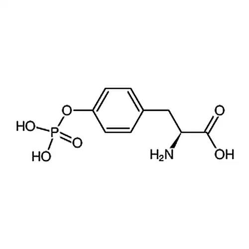 O-磷酸基-L-酪氨酸