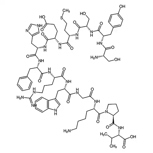 ACTH (1-13)