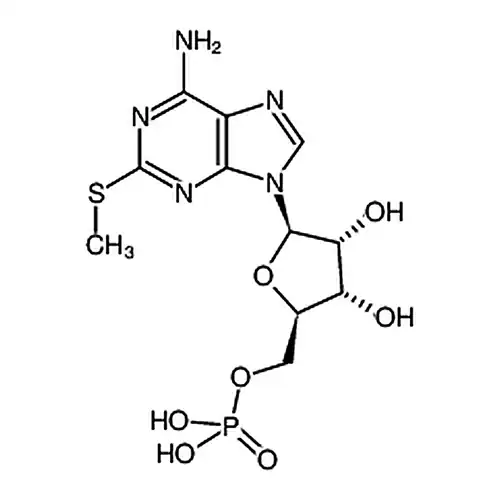 2-甲硫基腺嘌呤5'-单磷酸三乙铵盐水合物
