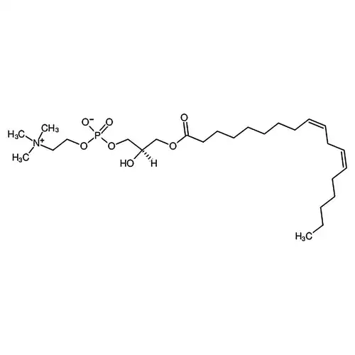 1-Linoleoyl-2-Hydroxy-sn-glycero-3-PC