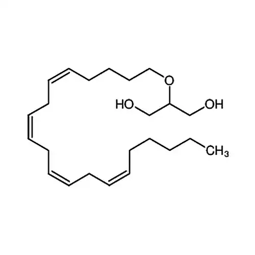 2-Arachidonyl Glycerol ether