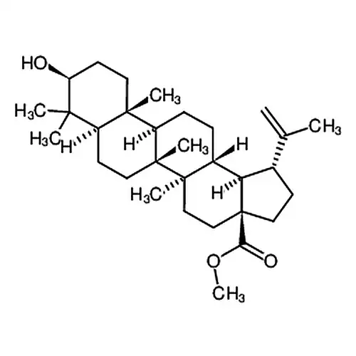 白桦酯酸甲酯