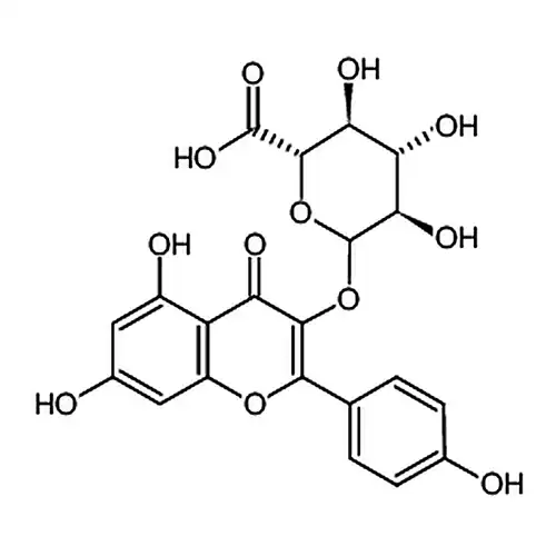 山柰酚-3-O-β-D-葡萄糖醛酸苷