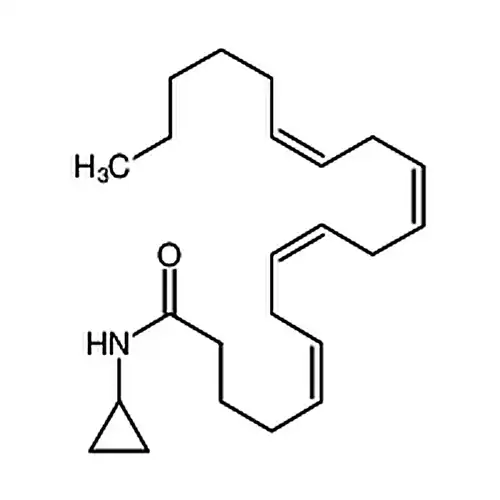 Arachidonoyl Cyclopropylamide
