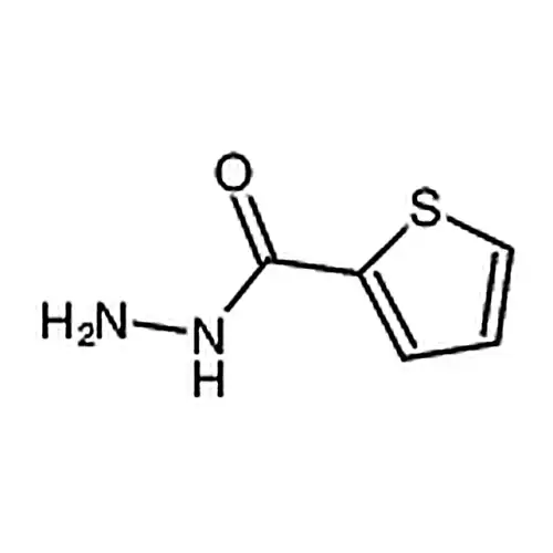 2-噻吩甲酰肼