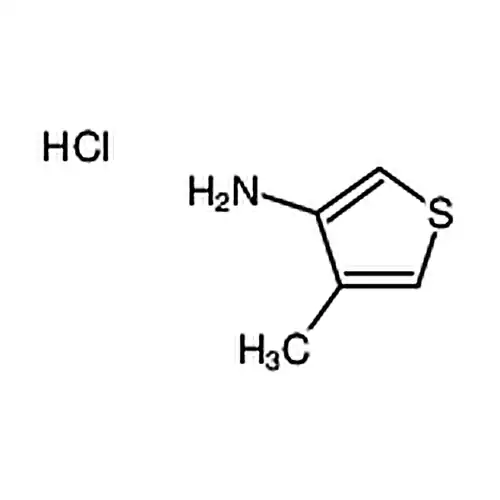 4-甲基噻吩-3-胺盐酸盐