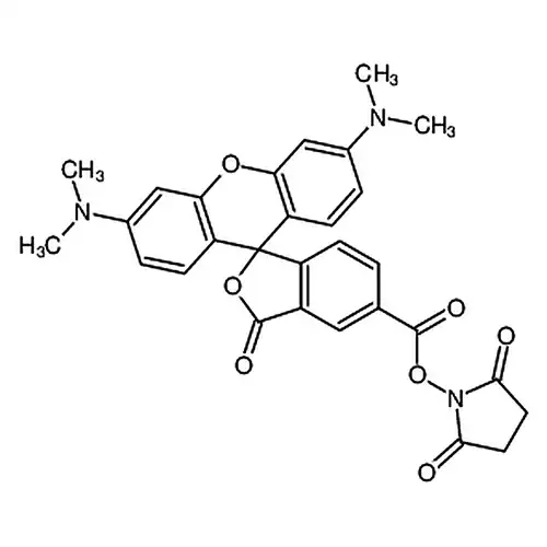 5(6)-羧基四甲基罗丹明琥珀酰亚胺酯