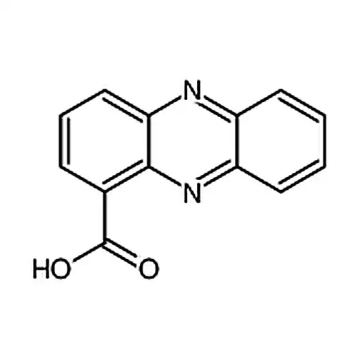 吩嗪-1-羧酸