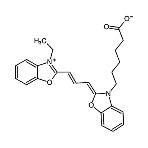 Cy2
