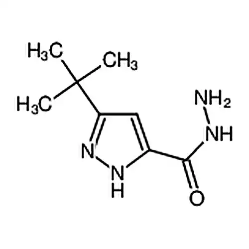3-(叔丁基)-1H-吡唑-5-甲酰肼
