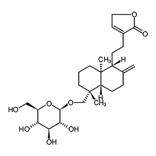 新穿心莲内酯