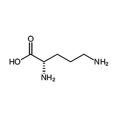 聚-L-鸟氨酸 氢溴酸盐