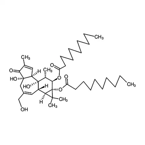 4α-佛波醇-12，13-二癸酸酯