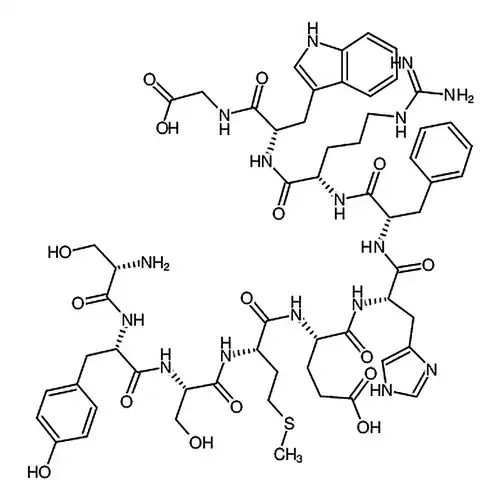 促肾上腺皮质激素片段1-10人