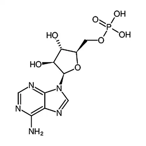 阿糖腺苷单磷酸