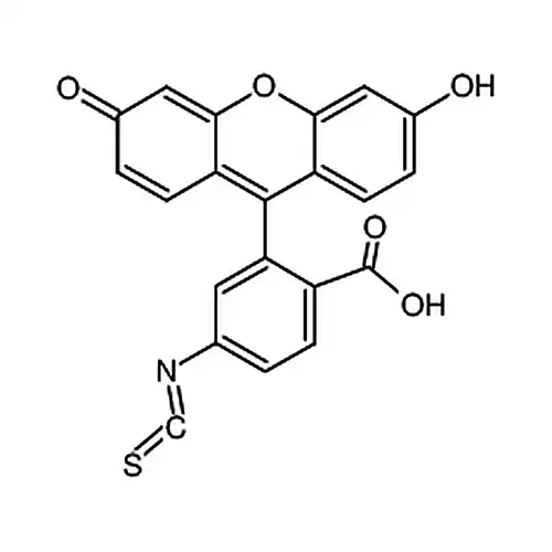 6-异硫氰酸荧光素