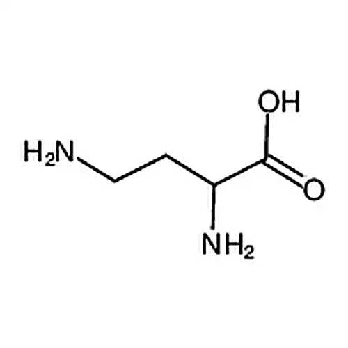 2，4-二氨基丁酸