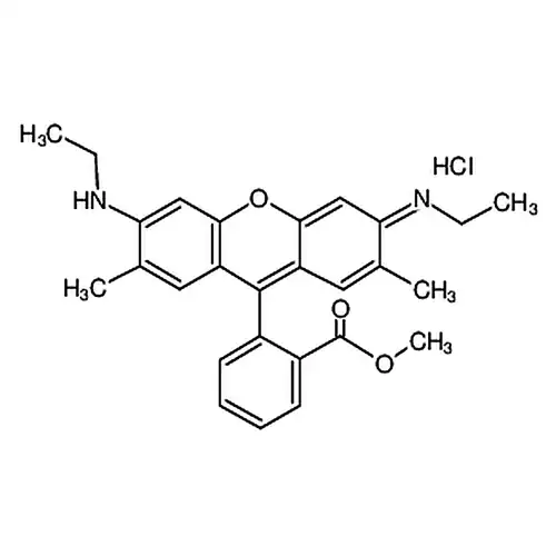 罗丹明590氯化物