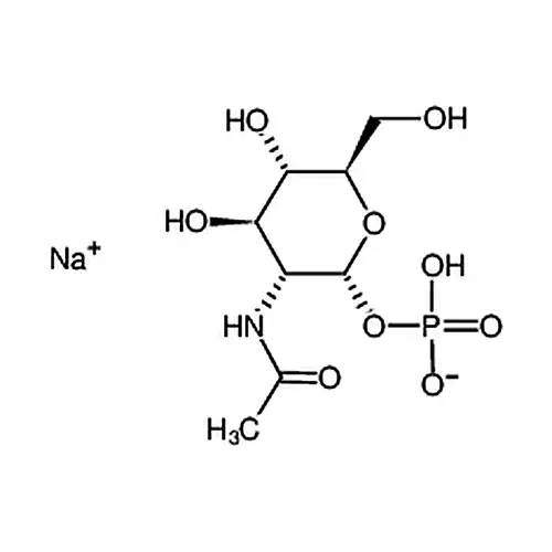 N-乙酰-A-D-氨基葡萄糖-1-磷酸酯