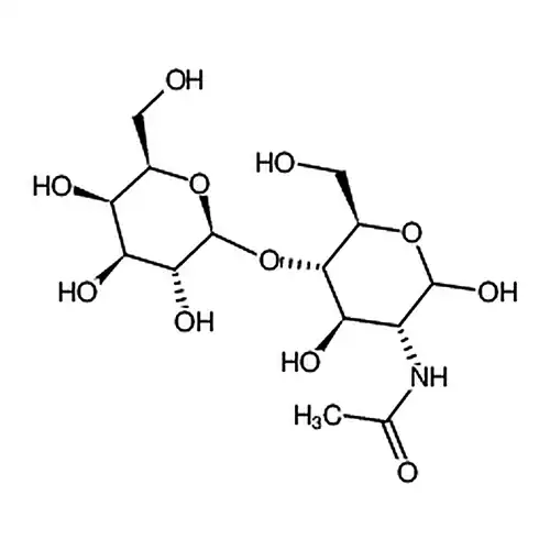 N -乙酰- D- 乳糖胺