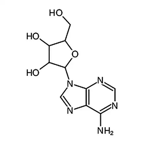 2-(6-aminopurin-9-yl)-5-(hydroxymethyl)oxolane-3，4-diol