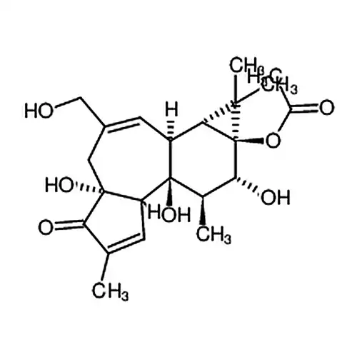 佛波醇13-乙酸酯