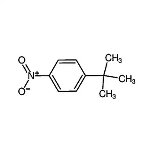 1-叔丁基-4-硝基苯