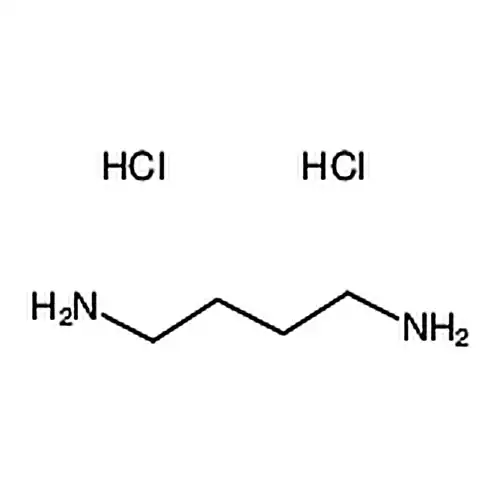 1,4-丁二胺双盐酸盐