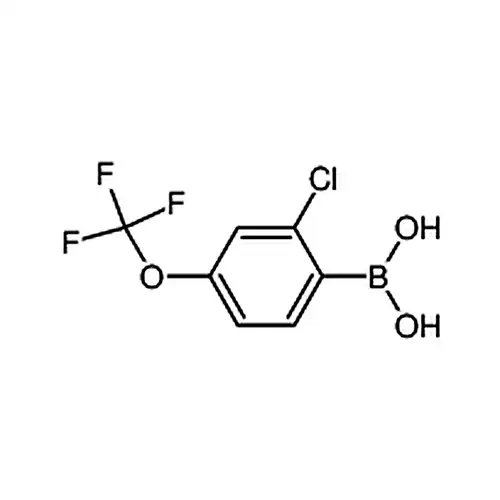 2-氯-4-三氟甲氧基苯硼酸