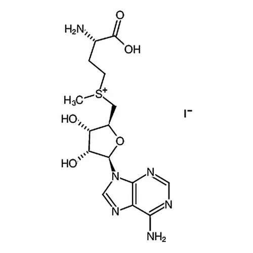 S-(5′-腺苷)-L-甲硫氨酸碘盐