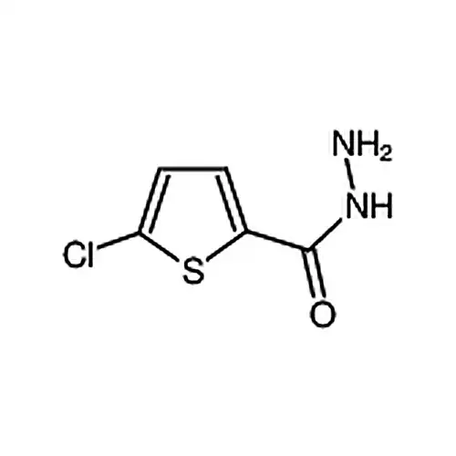5-氯-2-噻吩甲酰肼