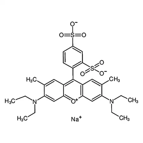 磺酰罗丹明B