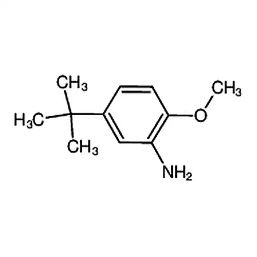 5-叔丁基-邻茴香胺