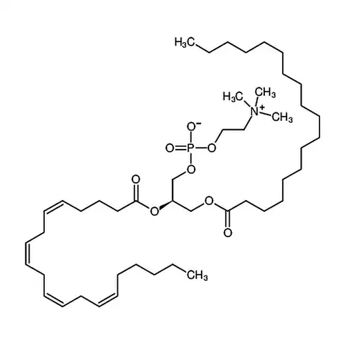 L-α-磷脂酰胆碱-β-花生四烯酰-γ-硬脂酰