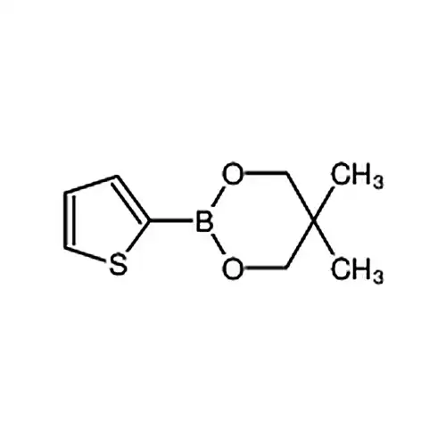 5,5-二甲基-2-(噻吩-2-基)-1,3,2-二氧硼杂环己烷