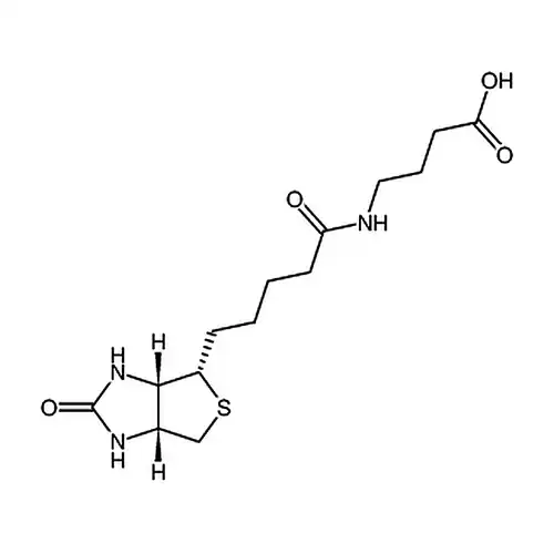 4-(5-((3aS,4S,6aR)-2-氧代六氢-1H-噻吩并[3,4-d]咪唑-4-基)戊酰胺基)丁酸