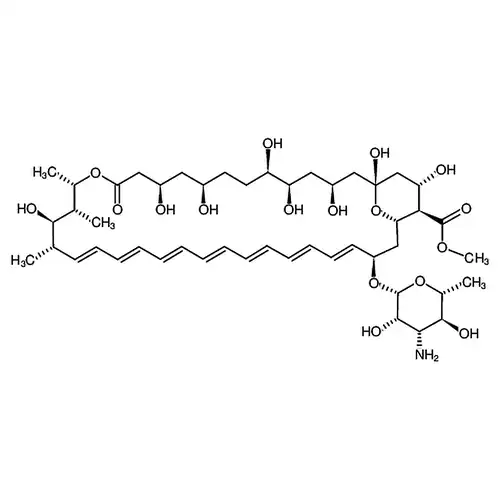 Amphotericin B methyl ester