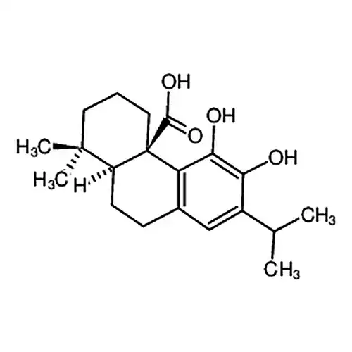 鼠尾草提取液