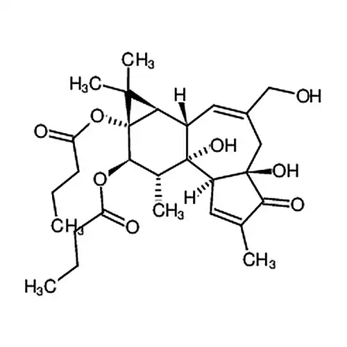 Phorbol 12，13-dibutyrate