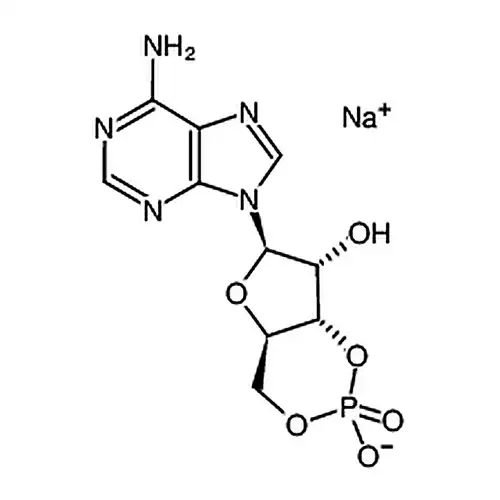 腺苷-3'',5''-环状单磷酸钠水合物