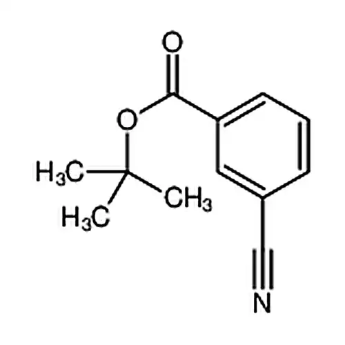 3-氰基苯甲酸叔丁酯