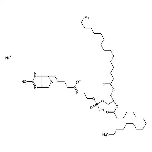 1,2-二棕榈酰基-sn-甘油-3-磷酸乙醇胺-N-(生物素)(钠盐)