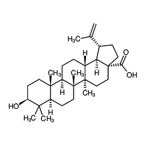 表白桦脂酸